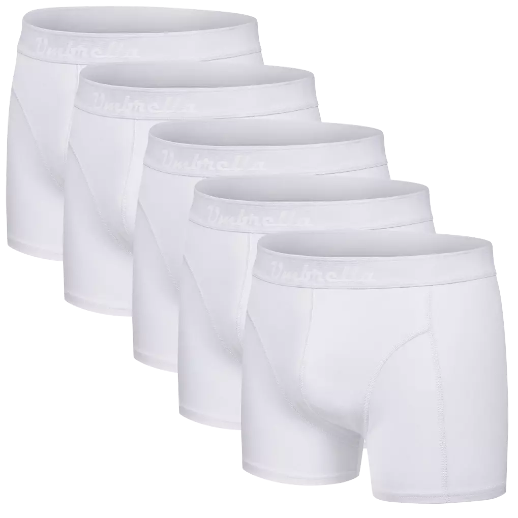 Übersicht: 5 weiße Baumwoll-Unterhosen