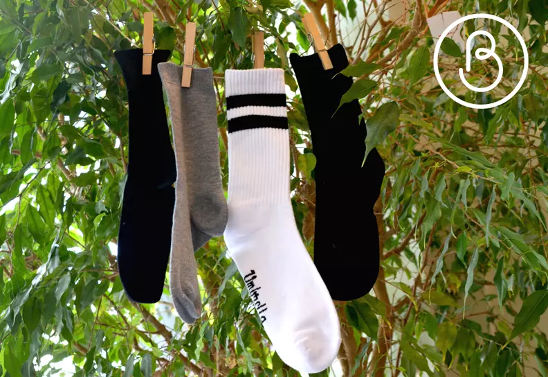 4 Socken trocknen auf einer Wäscheleine vor einer Pflanez